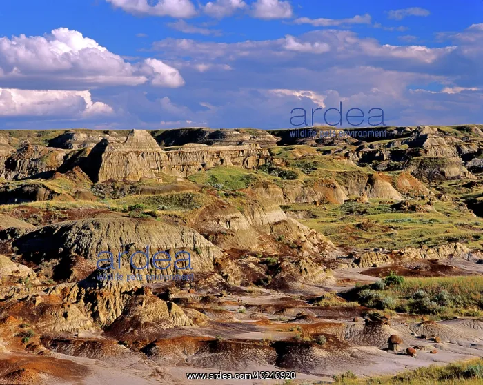 : Badlands at Dinosaur Provincial Park in : Badlands at Dinosaur Provincial Park in