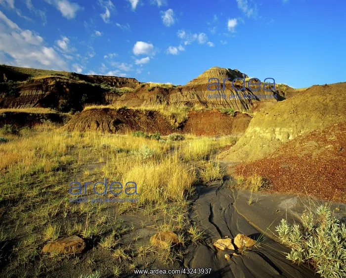  : Badlands at Dinosaur Provincial Park in