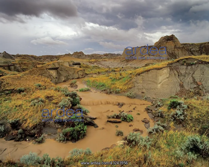 : Badlands at Dinosaur Provincial Park in : Badlands at Dinosaur Provincial Park in