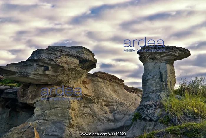 : Badlands Eroding into Hoodoos : Badlands Eroding into Hoodoos