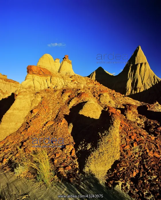 : Badlands formations at Dinosaur Provincial : Badlands formations at Dinosaur Provincial