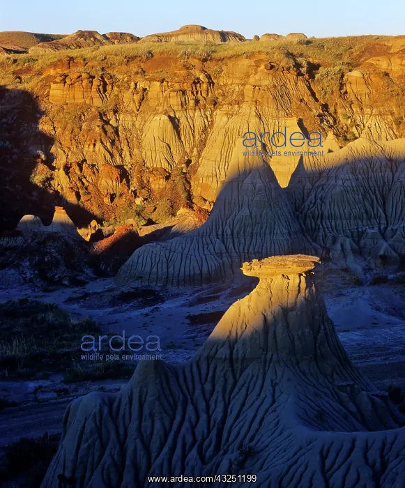 : Badlands formations at Dinosaur Provincial : Badlands formations at Dinosaur Provincial