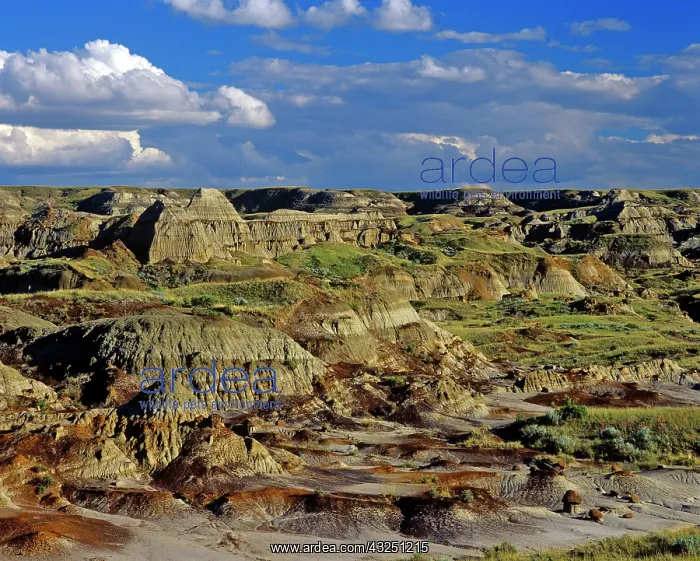: Badlands formations at Dinosaur Provincial : Badlands formations at Dinosaur Provincial