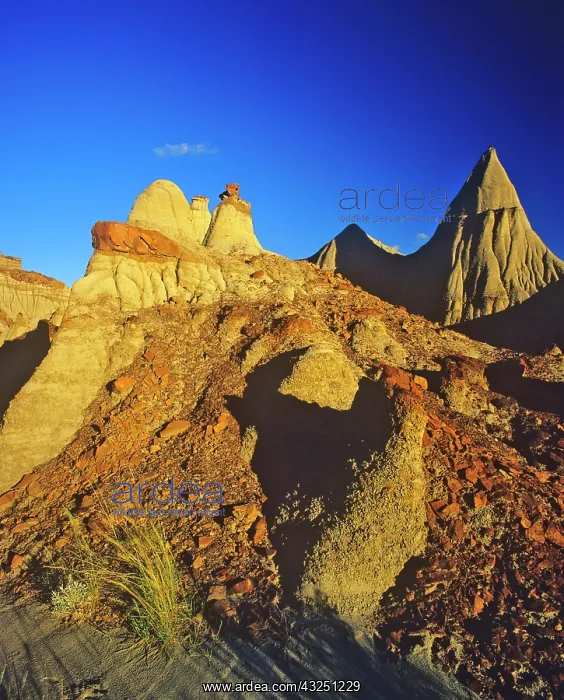 : Badlands formations at Dinosaur Provincial : Badlands formations at Dinosaur Provincial