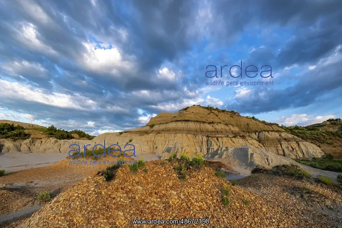 : Badlands formations in Theodore Roosevelt National Park : Badlands formations in Theodore Roosevelt National Park