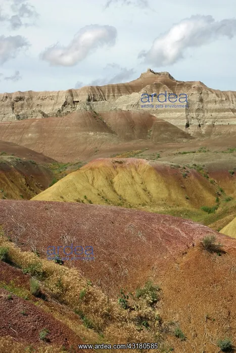 : Badlands, South Dakota : Badlands, South Dakota