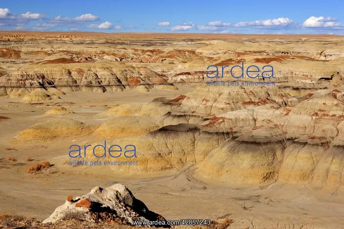 : Badlands - view into a valley of badlands : Badlands - view into a valley of badlands