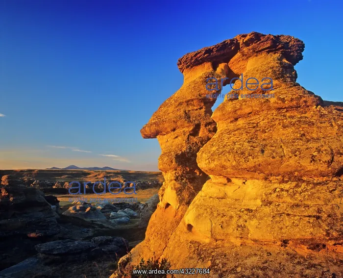 : The badlands of Writing on Stone Provincial : The badlands of Writing on Stone Provincial