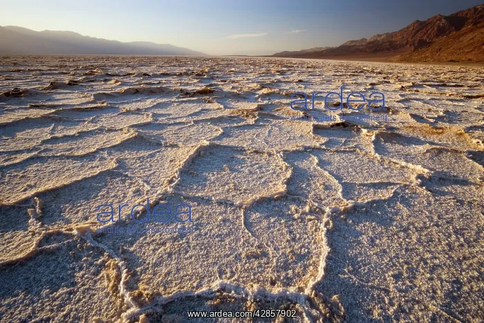: Badwater - rough salt crusts in the salt flats : Badwater - rough salt crusts in the salt flats