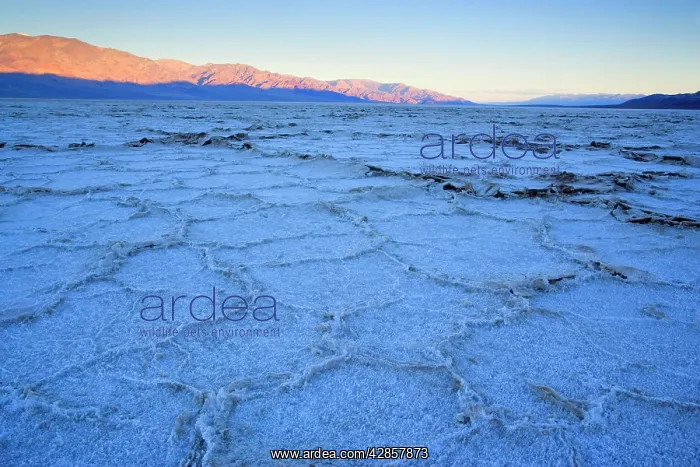 : Badwater - the salt flats of Badwater, the lowest : Badwater - the salt flats of Badwater, the lowest