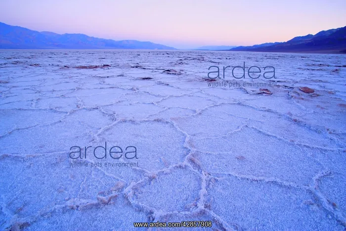 : Badwater - the salt flats of Badwater, the lowest : Badwater - the salt flats of Badwater, the lowest