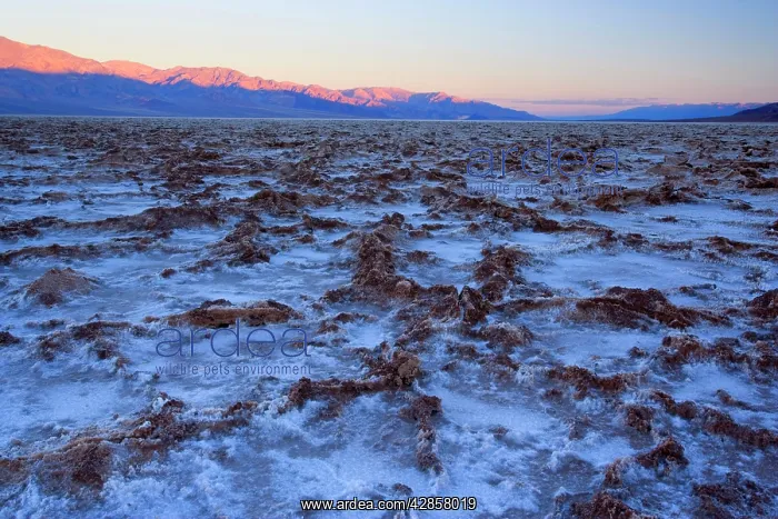 : Badwater - the salt flats of Badwater, the lowest : Badwater - the salt flats of Badwater, the lowest