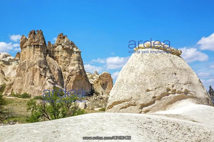 : Bagildere Valley, fantastic tuff formations, Cappadocia : Bagildere Valley, fantastic tuff formations, Cappadocia