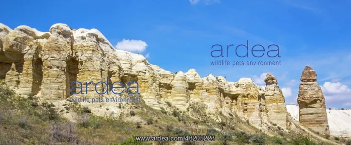 : Bagildere Valley, fantastic tuff formations, Cappadocia : Bagildere Valley, fantastic tuff formations, Cappadocia