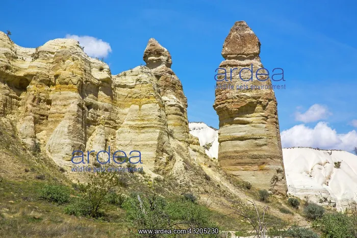 : Bagildere Valley, fantastic tuff formations, Cappadocia : Bagildere Valley, fantastic tuff formations, Cappadocia