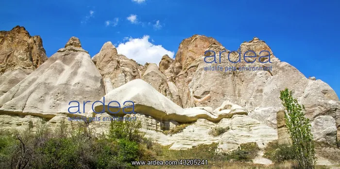 : Bagildere Valley, fantastic tuff formations, Cappadocia : Bagildere Valley, fantastic tuff formations, Cappadocia
