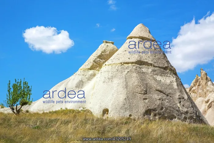 : Bagildere Valley, fantastic tuff formations, Cappadocia : Bagildere Valley, fantastic tuff formations, Cappadocia