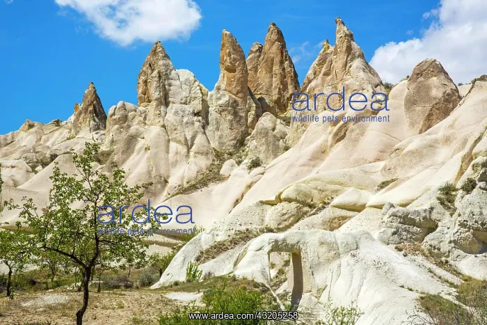  : Bagildere Valley, fantastic tuff formations, Cappadocia