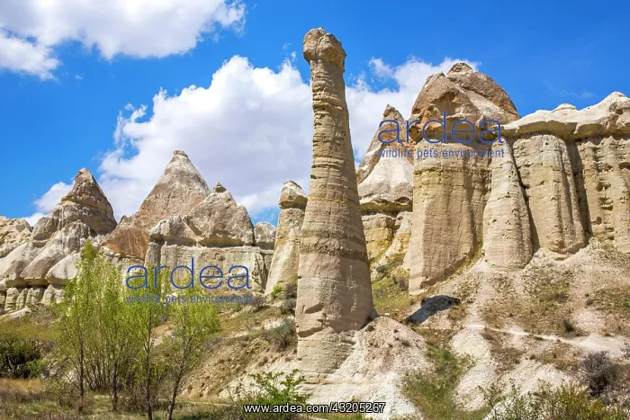 : Bagildere Valley, fantastic tuff formations, Cappadocia : Bagildere Valley, fantastic tuff formations, Cappadocia