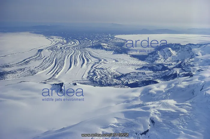 : Bagley Icefield : Bagley Icefield