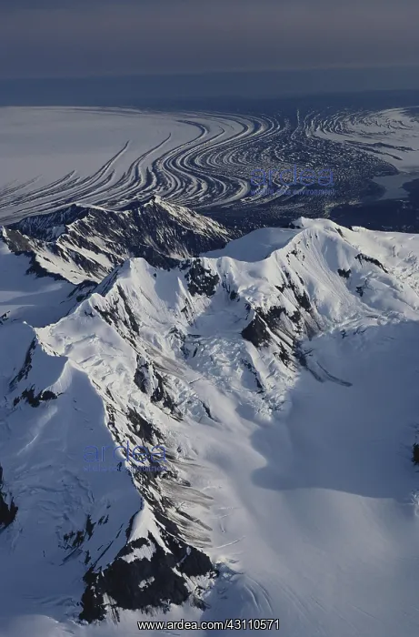 : Bagley Icefield : Bagley Icefield