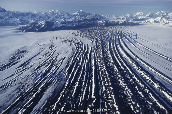: Bagley Icefield : Bagley Icefield