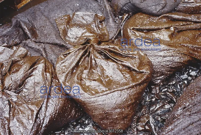: Bags of Waste from Exxon-Valdez Spill : Bags of Waste from Exxon-Valdez Spill