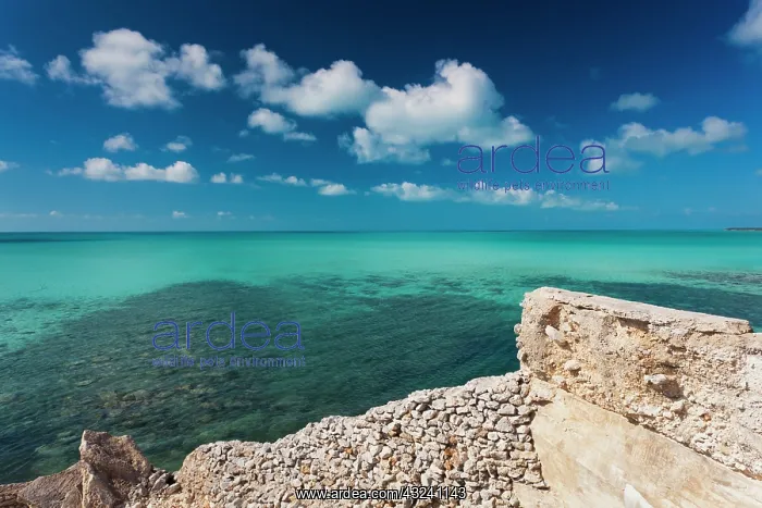 : Bahamas, Eleuthera Island, landscape by : Bahamas, Eleuthera Island, landscape by