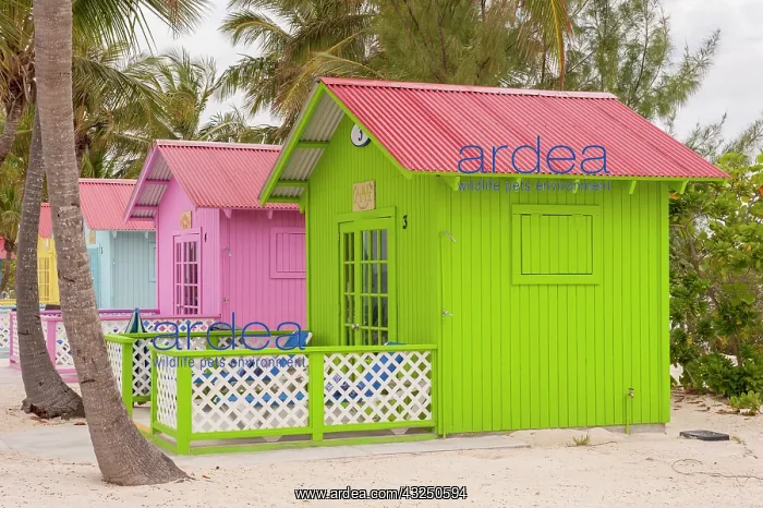  : Bahamas, Eleuthera, Princess Cays, beach
