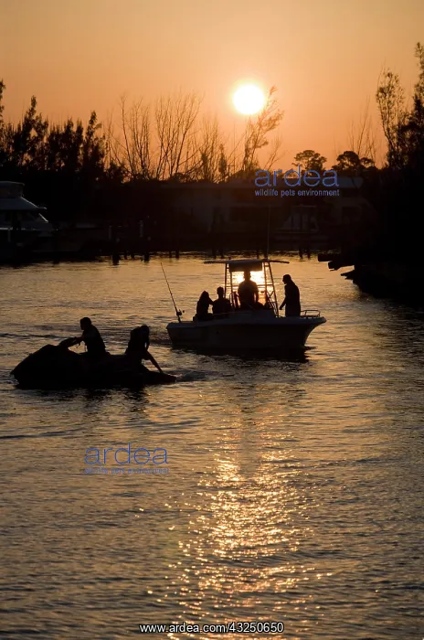 : Bahamas, Grand Bahama Island, Freeport : Bahamas, Grand Bahama Island, Freeport