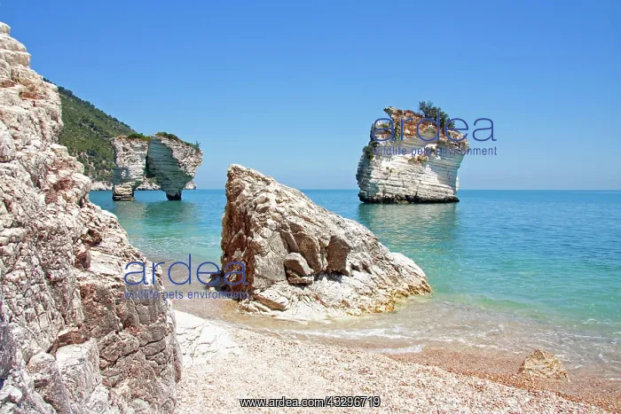 : Baia delle Zagare in Mattinata, Puglia, Italy, Europe : Baia delle Zagare in Mattinata, Puglia, Italy, Europe