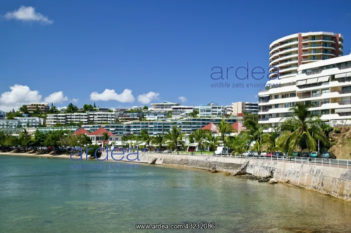 : Baie des Citrons resort area, Noumea, New : Baie des Citrons resort area, Noumea, New