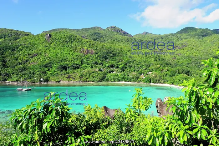 : Baie Ternay bay, Mahs Island, Seychelles, Africa : Baie Ternay bay, Mahs Island, Seychelles, Africa