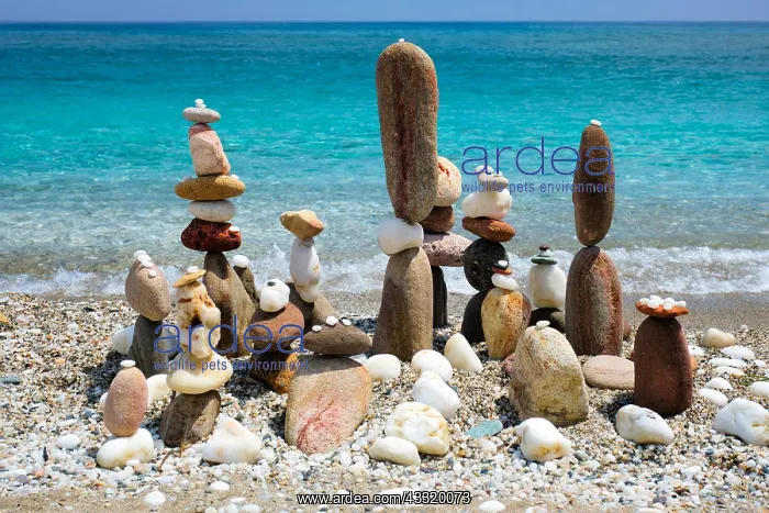 : balance and harmony concept, stacked stones on beach, coast : balance and harmony concept, stacked stones on beach, coast