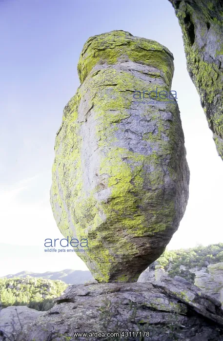 : Balanced Rock : Balanced Rock