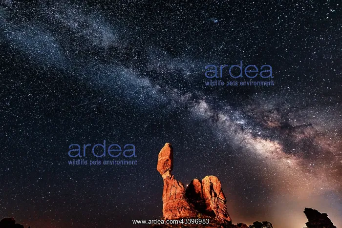 : Balanced Rock within Arches National Park : Balanced Rock within Arches National Park
