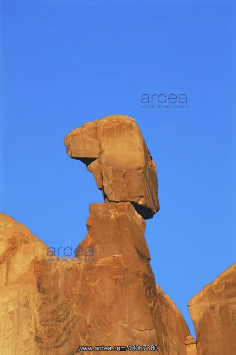 : Balanced Rock in Utah : Balanced Rock in Utah