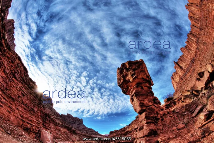 : Balanced Rock, Utah : Balanced Rock, Utah