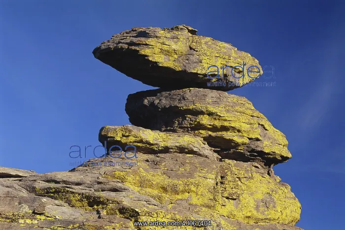 : Balanced Rocks in Arizona : Balanced Rocks in Arizona