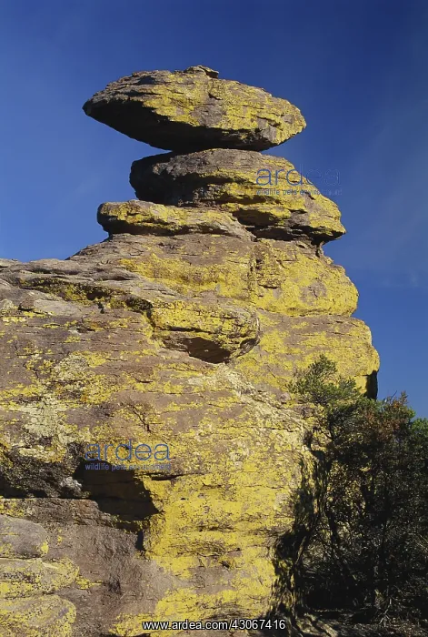 : Balanced Rocks, Chiricahua NM : Balanced Rocks, Chiricahua NM