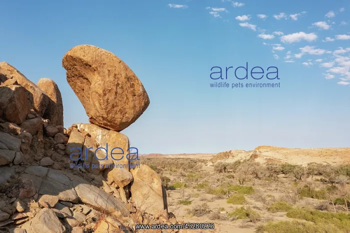 : Balancing rock high above the dry bed of the Ugab river. Aer : Balancing rock high above the dry bed of the Ugab river. Aer