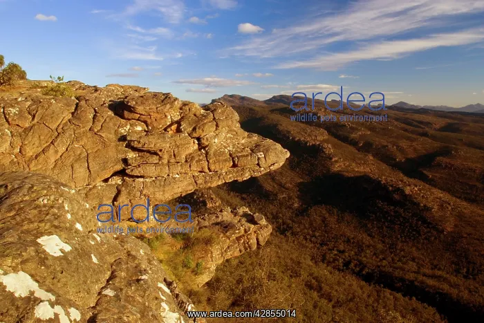 : The Balconies - the Balconies are rocky outcrops : The Balconies - the Balconies are rocky outcrops