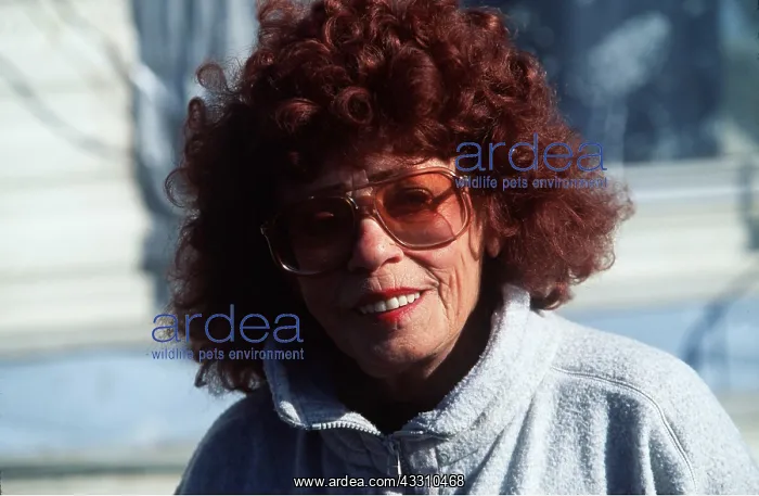 : BALD EAGLE LADY - Jeanne Keene : BALD EAGLE LADY - Jeanne Keene