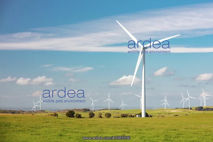 : The Bald Hills Wind Farm near Walkerville in the B : The Bald Hills Wind Farm near Walkerville in the B