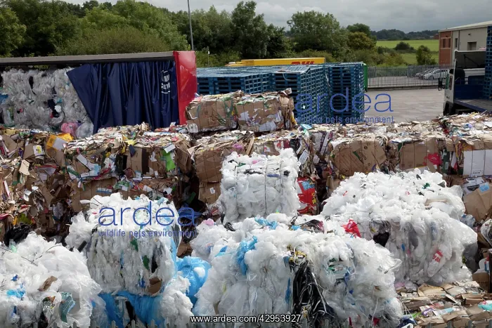 : Bales of plastic and cardboard waste for recycling : Bales of plastic and cardboard waste for recycling