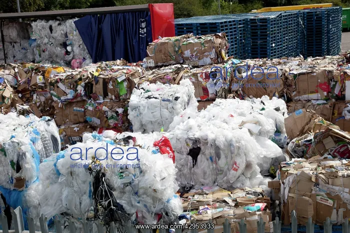 : Bales of plastic and cardboard waste for recycling : Bales of plastic and cardboard waste for recycling