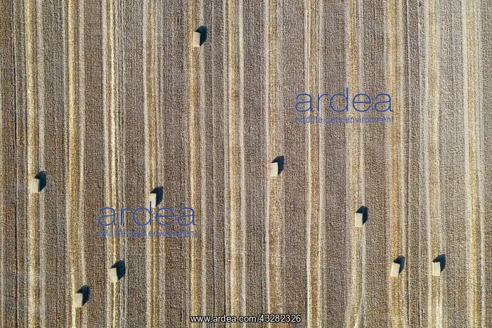 : Bales of straw and abstract patterns in cornfield : Bales of straw and abstract patterns in cornfield