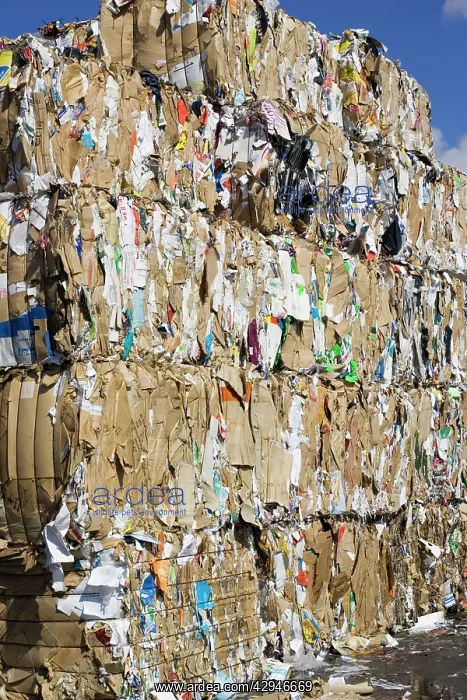 : Bales of waste paper and cardboard cartons stacked : Bales of waste paper and cardboard cartons stacked