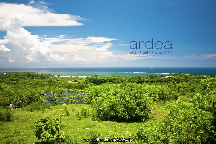 : Bali, Indonesia. The coastline of Nusa Dua : Bali, Indonesia. The coastline of Nusa Dua