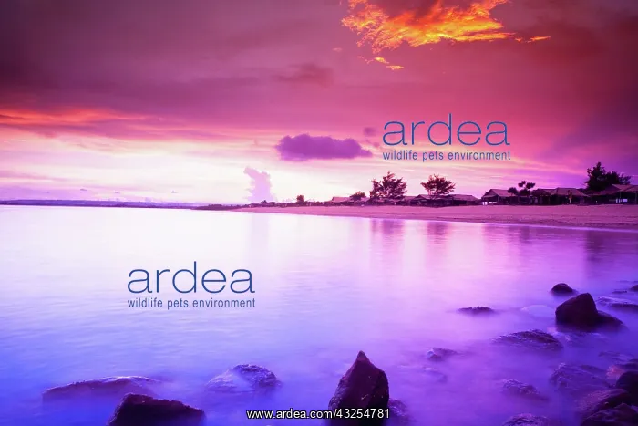: Bali, Indonesia. Serangan is a popular coastal : Bali, Indonesia. Serangan is a popular coastal